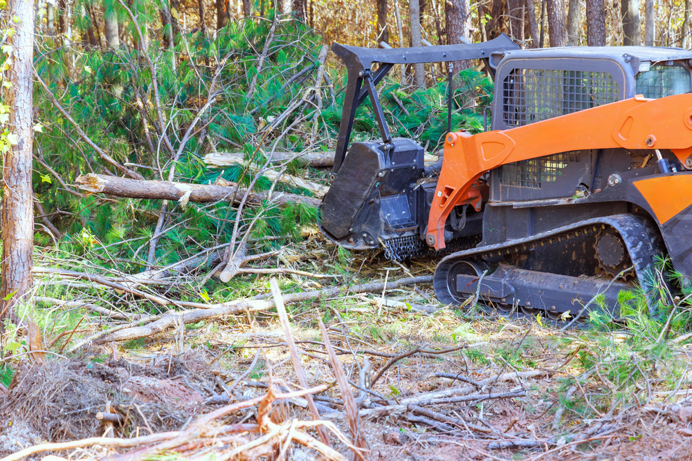A track loader with a grapple attachment is clearing fallen tree branches and debris in a forested area.