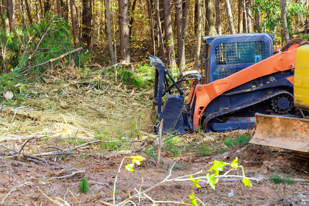 A skid steer loader with a forestry mulcher attachment clearing brush and trees in a wooded area.