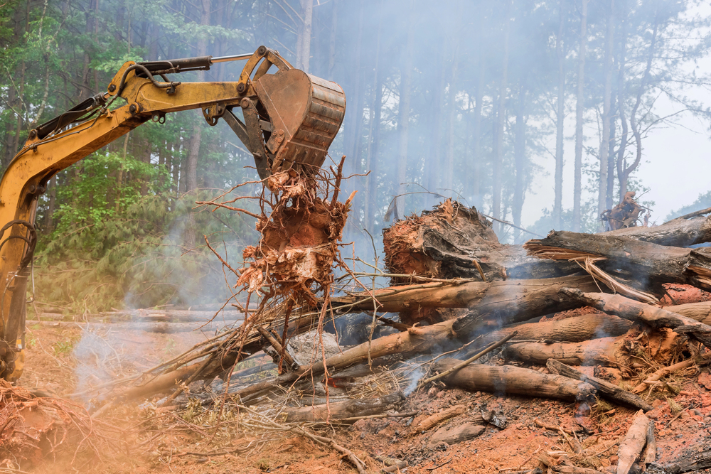 An excavator removes a large tree stump from a smoky, debris-filled area in a forest.